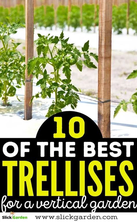 Watermelon Trellis Diy, Tomato Garden Trellis, Vertical Garden Trellis, Zucchini Trellis, Trellis Ideas Garden, Outdoor Trellis Ideas, Squash Trellis, Vertical Trellis, Trellis Arbor