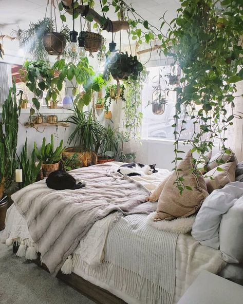 20+ Aesthetic Room Ideas That You'll Be Tempted to Try - Displate Blog Lots Of Plants, Decor Pictures, Redecorate Bedroom, Aesthetic Rooms, Dreamy Room, Room With Plants, Dream Room Inspiration, Cozy Room, Room Inspiration Bedroom