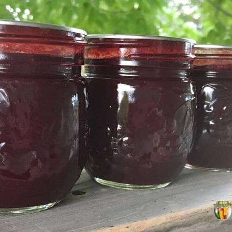 No pectin plum jam contains a TON of sugar. But with this recipe, you can enjoy LOW SUGAR plum jam...without worrying about whether it will set properly or not! Check it out at #SimplyCanning #plumjamrecipe Low Sugar Plum Jam Recipe, Sand Plum Jelly Recipe, Plum Jam With Pectin, Sugar Plum Jam, Plum Jam Recipe, Plum Sauce Recipe, Pectin Recipes, Plum Jam Recipes, Canned Plums