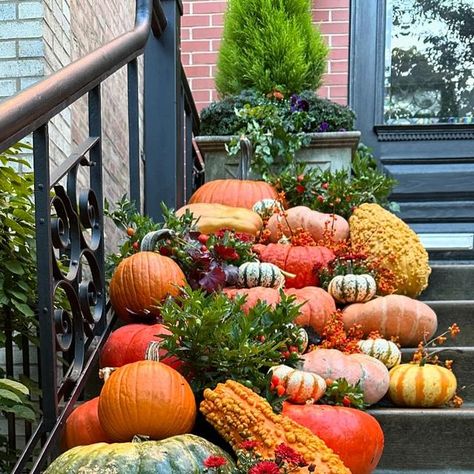 Howard Nemeroff (Owner) on Instagram: "A little pumpkin styling for you.  #curbappeal #halloween #pumpkins #garden #home #homedecor #autumn #welcome #festive #stairs #frontdoor #frontdoordecor" Pumpkins On Steps, Outdoor Stacked Pumpkins, Stacking Pumpkins, Stacked Faux Pumpkins, Heirloom Pumpkin Varieties, Pumpkin Varieties, Stacked Pumpkins, Autumn Decorating, Orange Black