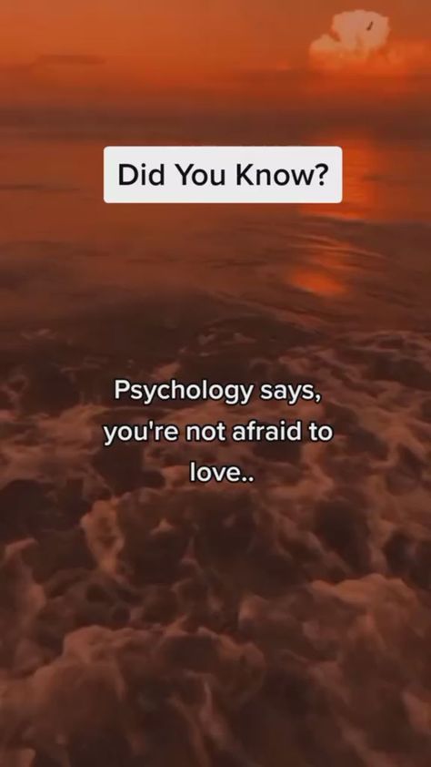 lovefact, psychologicalfact, fact, psychologyfacts, psychology, psychologyfact, psychologysays, socialpsychology, powerfulquotes, psychologyquotes, psychotherapy, psychologytricks, psychologystudent, psychologytoday, psychological, psychologyclass, psychologist, quotesaboutlife, quotesdaily, positivethinking, positividade, quotesaboutlove, mindsetiseverything, psychologymajor, stress, help, quotestoliveby, attraction, factsoflife, lovequotes Psychology Says, Relationship Facts, Love Facts, Not Afraid, Psychologist, Love Love, Did You Know, Psychology