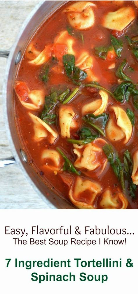 Sick Recipes, Tortellini Spinach Soup, Spinach Soup Recipe, Spinach Tortellini Soup, Spinach Tortellini, Soups Recipes, Sausage Tortellini, Tortellini Recipes, Healthy Soups