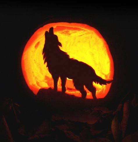 Pumpkin Carving - Howling Wolf by RedHotChiliPetra Wolf Pumpkin Carving, Wolf Pumpkin, Pumpkin Carving Patterns Free, Pumkin Carving, Creative Pumpkin Carving, Amazing Pumpkin Carving, Scary Pumpkin Carving, Pumpkin Carving Designs, Image Halloween