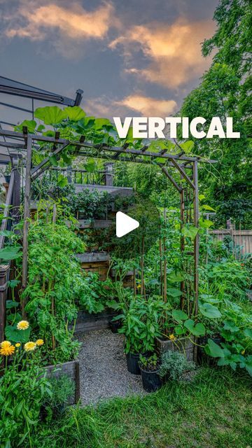 Char + Marv | Urban Garden on Instagram: "You can be creative with your vertical space and grow more food. This spot is hidden from morning and afternoon sun and only receives about 4-5 hours of sunlight late in the afternoon. But by going vertical, it helps maximize sunlight exposure. Also going vertical means you end up using smaller containers and plants like micro dwarf tomatoes are ideal for this.

This is one of the first garden bed we built and happy that it fit the space perfectly. That’s the most exciting part about having an empty space. You can use your imagination to fill the space and be creative.

Are you starting a garden project this year? 

It’s time to grow your own food🌱💪

#diygardening #gardenproject #daily #instagood" Growing Tomatoes Vertically, Grow Tomatoes Vertically, Vertical Cantaloupe Garden, Grow Vertically, Rooftop Garden Urban, Greenstalk Vertical Planter, Micro Garden, Rooftop Deck, Starting A Garden