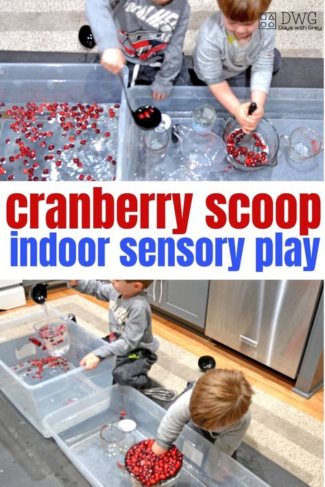 Cranberry Scoop Indoor Sensory Play - Here's a fun activity for your little ones to engage in while the weather is less than desirable. It's also a great way to use up some of those leftover cranberries. This sensory play bin can be put together in a matter of minutes, too. | #SensoryPlay #IndoorPlayTime Strawberry Activities, Prek Sensory, Preschool Sensory Activities, Homemade Sensory, Light Fixture Makeover, Winter Activities For Toddlers, Theme For Preschool, Outdoor Winter Activities, Sensory Dough