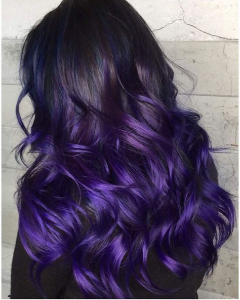 Black Roots With Purple Hair, Purple Hair Brown Roots, Black White Hair Color, Brown Hair Peekaboo Highlights, Brown Hair Peekaboo, Black And Purple Ombre Hair, Blue And Black Hair Ideas, Black And Purple Hair Ideas, Orchid Hair Color