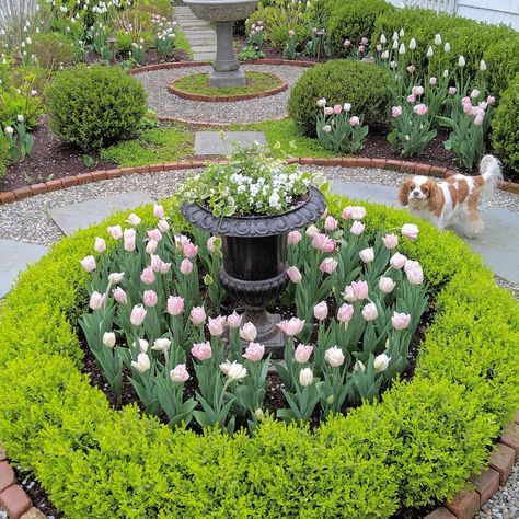 Center Yard Landscaping Ideas, Round Flower Bed Ideas, Garden Map, Circle Garden, Formal Garden Design, Small Garden Landscape, Circle Drive, Front Garden Landscape, Front Garden Design