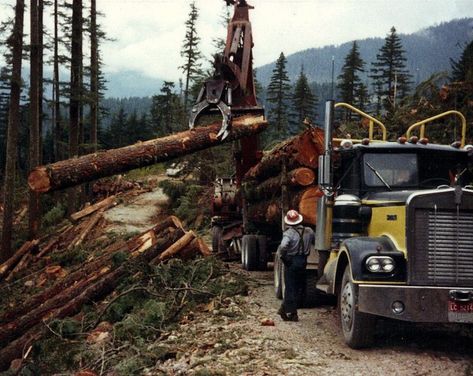 Oregon Log Truck Getting Loaded | Kurt Parkton | Flickr Log Truck, Logging Trucks, Logging Equipment, Forestry Equipment, Christmas Cakes, Old Trucks, Big Trucks, Semi Trucks, Oregon