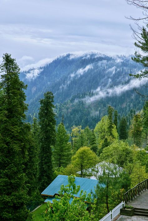 Nathia Gali Pakistan - 7am view from my window [3698x5538] [OC] Murree Pakistan Pictures, Nathia Gali, Murree Pakistan, Pakistan Pictures, Pakistan Tourism, View From My Window, World Most Beautiful Place, Green Valley, Hill Station