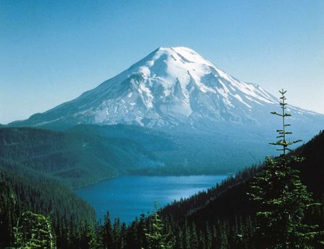 Mt. Saint Helens before 1980 eruption - USGS - Imgur Mt Saint Helens, Mount Saint Helens, Thick Forest, Erupting Volcano, Mt St Helens, Mount St Helens, Volcano Eruption, Washington State Travel, Saint Helens