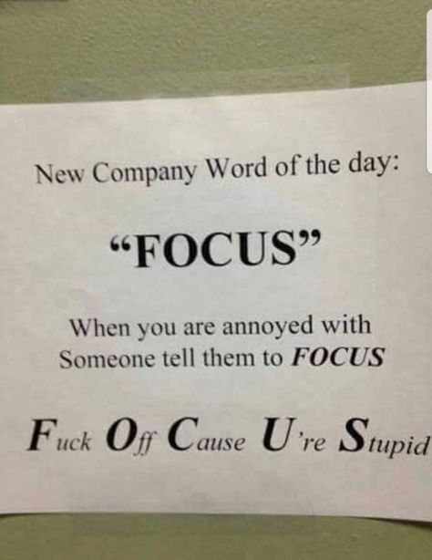 Co Worker Memes, Annoying Co Workers, Coworker Quotes, Irish Jokes, Work Memes, Visual Statements, Word Of The Day, Work Humor, Work Quotes