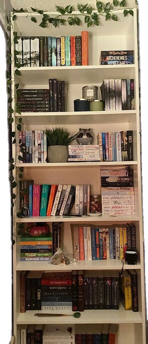 Aesthetic Bookshelf, Bookshelf Aesthetic, Bookshelf Inspiration, Home Library Design, Cozy Room Decor, Dream Room Inspiration, Room Makeover Bedroom, Room Makeover Inspiration, Cute Room Decor