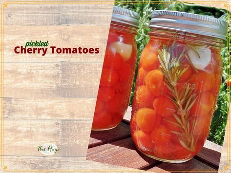 Pickled Cherry Tomatoes Pickled Cherry Tomatoes Recipe, Canned Cherry Tomatoes, Winter Canning, Pickled Cherry Tomatoes, Garlic Pickled, Canning Jelly, Cherry Tomatoes Recipe, Canning Cherry Tomatoes, Pickled Tomatoes