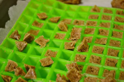 Small Homemade Dog Treats, Tiny Dog Treats, Low Calorie Dog Training Treats, Diy Puppy Training Treats, Puppy Training Treats Recipe, Dog Training Treat Bag Diy, Training Treat Recipe, Diy Dog Training Treats Recipes, Homemade Puppy Training Treats