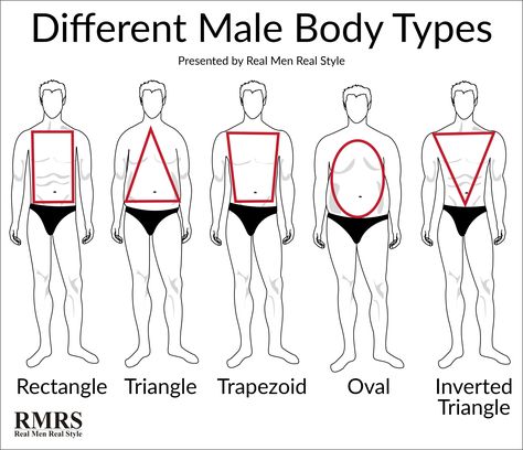 Ground Rules For Dressing To Your Body Type Body Types Chart, Male Body Types, Body Shape Chart, Mens Body Types, Male Body Shapes, Body Shape Guide, Dress For Body Shape, Types Of Body Shapes, Real Men Real Style