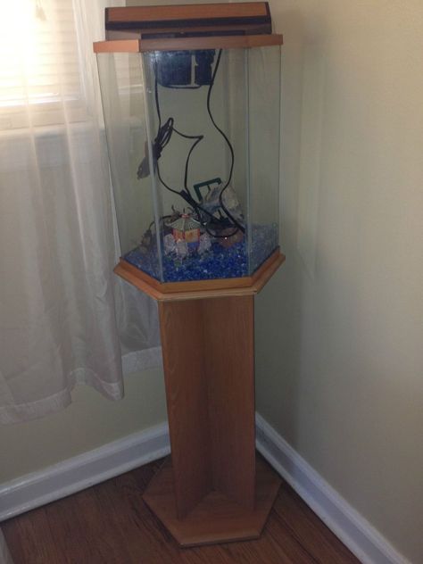 10 Gallon Hexagon Fish Tank with Stand 10 Gallon Fish Tank Stand, Hexagon Fish Tank, Fish Tank Ideas, 10 Gallon Fish Tank, Fish Stand, Fish Tank Stand, Diy Fish Tank, Diy Quotes, Tank Stand