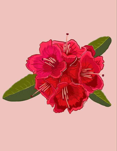 Nepali National Flower #nepal #nepalese Nepali Art Design, Nepal National Flower, Nepali Culture Art, Nepal Illustration, Cafe Renovation, Nepali Flag, Photo Zen, Nepali Art, Nepal Art