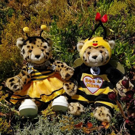 Build a bear WWF cheetahs wearing matching bee costumes, one is wearing a bee themed dress while the other is wearing a bee themed onesie which says  "Bee mine" in a love heart, Happy Valentine's Day! Build A Bear Cheetah, Build A Bear Ideas, Build A Bear Aesthetic, Yule 2024, Bear Ideas, Bear Bed, Bear Picnic, Stuff Animals, Teddy Bear Picnic