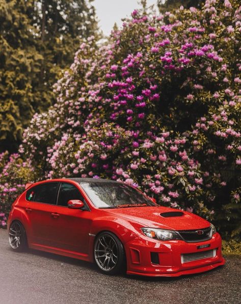 #red#betiful#car#subaru#wrx#sti Subaru Wrx Aesthetic, Subaru Impreza Hatch, Subaru Hatchback, Subaru Wrx Hatchback, Wrx Hatchback, Car Subaru, Car Builds, Hatchback Cars, Car Backgrounds