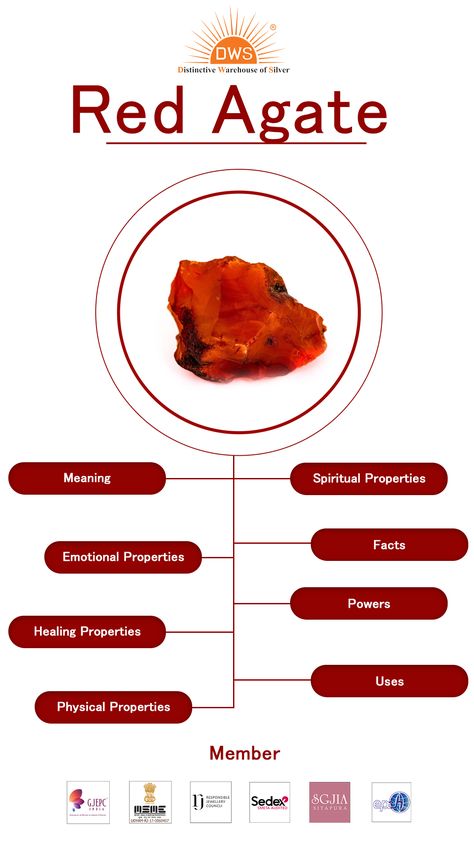 Discover the Mysteries and Beauty of Red Agate Stone - Unveiling its Facts Red Agate Meaning, Agate Stone Meaning, Ring Meaning, Crystal Magick, Rings With Meaning, Red Agate, Agate Ring, Red Stone, Agate Stone