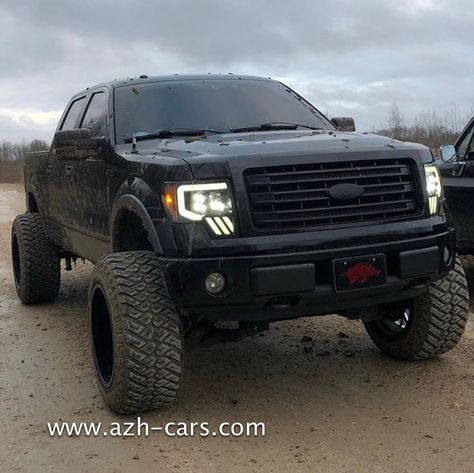 2014 Ford F150 Lifted, Ford F150 2013, Ford F150 Lifted, F150 Lifted, F150 Platinum, 2011 Ford F150, Ford 150, 2006 Ford F150, 2012 Ford F150