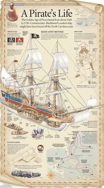 Pirate History, Golden Age Of Piracy, Navi A Vela, Old Sailing Ships, Pirate Art, Black Sails, Sailing Vessel, Life Poster, Pirate Life