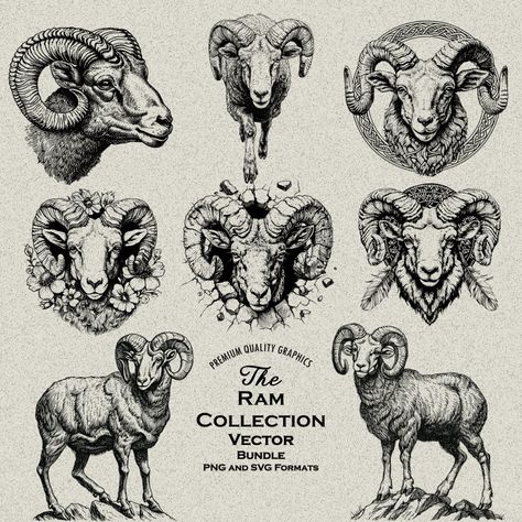 Ram Digital Art, Ram Design, Native American Western, Bighorn Sheep, American Western, Majestic Animals, Animal Sketches, Canva Design, Showcase Design