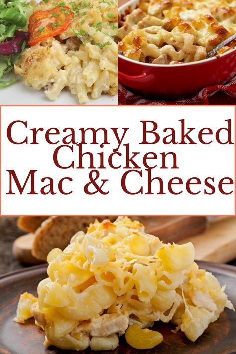 Creamy baked chicken mac and cheese. Baked Mac And Cheese And Chicken, Chicken Recipes To Go With Mac N Cheese, Baked Chicken And Mac And Cheese, Cheesy Chicken Mac And Cheese, Mac N Cheese Chicken Casserole, Easy Chicken Mac And Cheese, Macaroni And Chicken Casserole, Creamy Chicken Mac And Cheese, Chicken Nugget Mac And Cheese