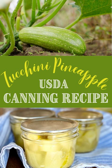 Canned Zucchini In Pineapple Juice, Canned Zucchini Pineapple, Canning Zucchini In Pineapple Juice, Pineapple Zucchini Canned, Pickle Zucchini Recipes, Zucchini Pineapple Canning, Mock Pineapple Zucchini, Canning Zucchini, Zucchini Pineapple