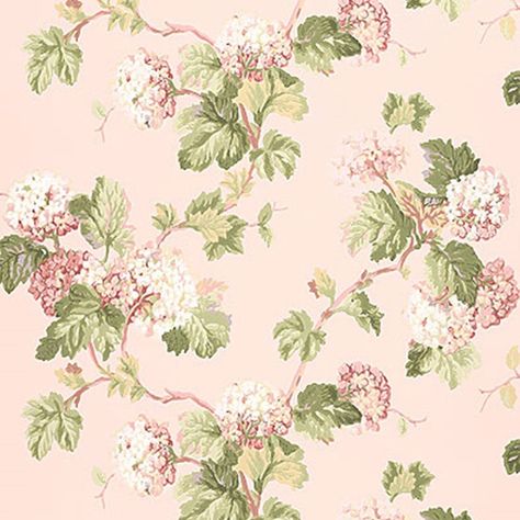 VIBURNUM COLOR: BLUSH  5004370  HORIZONTAL REPEAT 27" (69CM) MATCH HALF DROP VERTICAL REPEAT 19" (48CM) CONTENT N/A WIDTH 27" WIDE (69CM) Blush Peony, Schumacher Wallpaper, Floral Wallpapers, Blush Wallpaper, Peony Wallpaper, Vintage Floral Wallpapers, Rose Stem, New Wall, Wallpaper Samples