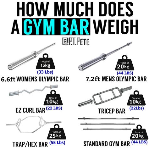 Peter O Reilly FRCms P.T. 🇮🇪 on Instagram: “The Different Types of Barbell! Tag a friend who could use this guide! - Follow @P.T.Pete for daily fitness/nutrition education📚 - Most…” Body Maintenance, Workouts Routines, Fitness Education, Exercise Regimen, Study Info, Gym Bar, Barbell Weights, Local Gym, Gym Tips