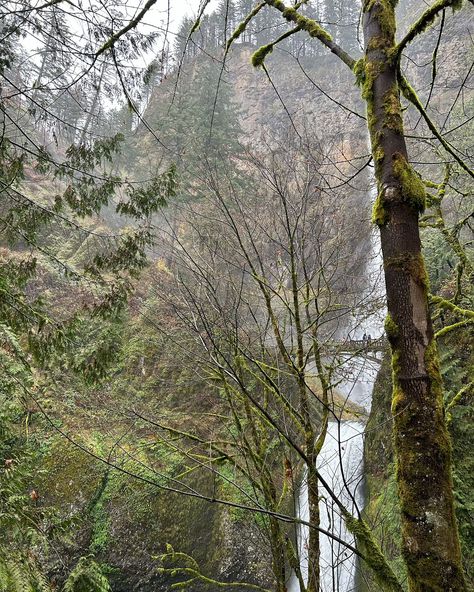 Portland x Troutdale. Would go back for the nature! The Nature, Portland, Quick Saves, Nature