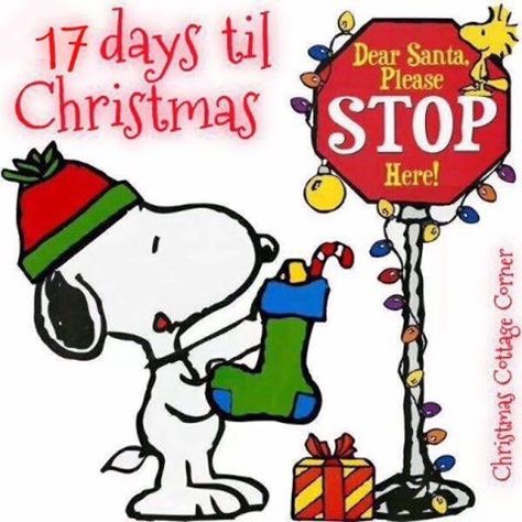 17 days until christmas quotes quote snoopy christmas christmas quotes christmas countdown A Charlie Brown Christmas, Hello Kitty Imagenes, Holiday Graphics, Snoopy Images, Brown Christmas, Peanuts Christmas, Snoopy Pictures, Snoopy Love, Days Until Christmas