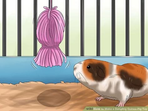 How to Make a Dangling Guinea Pig Toy: 13 Steps (with Pictures) Diy Guinea Pig Toys, Guinea Pig Breeds, Guinea Pig Breeding, Guinea Pig Cages, Guinea Pig Diy, Pig Breeds, Guinea Pig Accessories, Guinea Pig (toy), Pig Toys