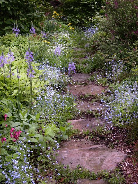 Flowers And Greenery, Modern Garden Design, Flowers Arrangements, Stone Path, Have Inspiration, The Secret Garden, Woodland Garden, Garden Pathway, Gorgeous Gardens