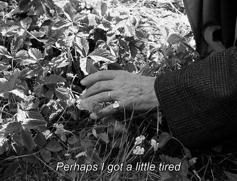 Wild Strawberries Movie, Ingmar Bergman Films, Circle Cast, Bergman Film, Photo Comic, Cinema Quotes, Im Just Tired, Ingmar Bergman, Romantic Stories