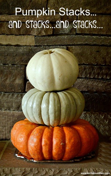 Pumpkin Stacks, Stack Of Pumpkins, Types Of Pumpkins, Pumpkin Varieties, Pumpkin Arrangements, Cinderella Pumpkin, Porch Pumpkins, Fall Containers, Pumpkin Display