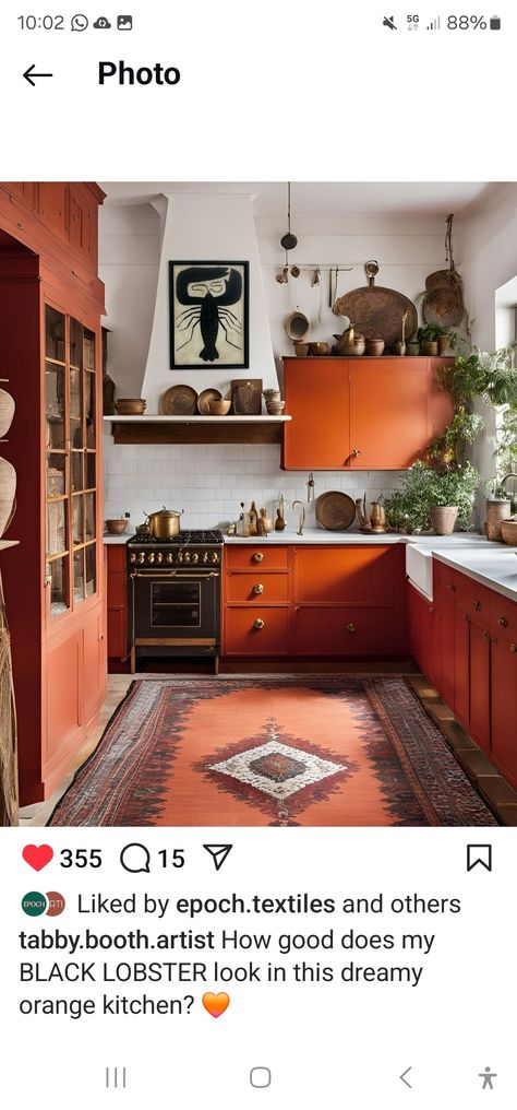 Terracotta Kitchen Walls, Terracotta Kitchen, Painted Kitchen Cabinets, Cottage Interior Design, Kitchen Walls, Painted Kitchen, Cottage Interior, Painting Kitchen Cabinets, Terra Cotta