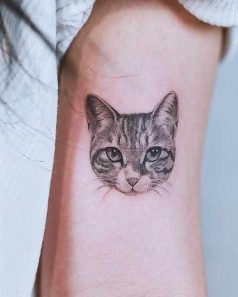 Cat Tattoos Realistic, Realistic Cat Face Tattoo, Realistic Pet Tattoos, Realistic Cat Tattoos, Realism Cat Tattoo, Cat Realistic Tattoo, Cat Tattoo Realism, Cat Tattoo Portrait, Cat Tattoo Realistic