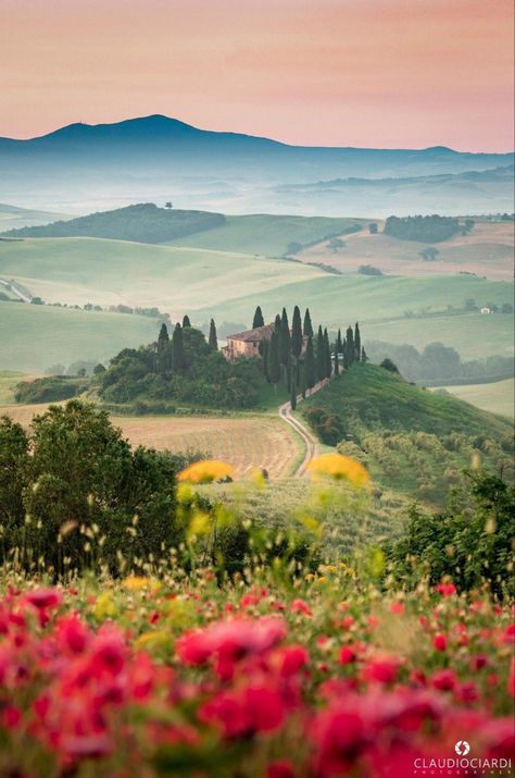 Dreamy Tuscany 💫 📸Claudio Ciardi photography #tuscany #italytravel #italy Amalfi Coast Positano, Italy Tourism, Val D Orcia, Italy Tours, Landscape Scenery, Tuscany Italy, Nature Travel, Siena, Italy Travel