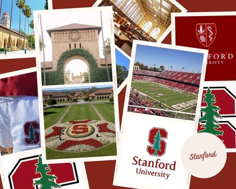 Cardinals Wallpaper, Irish Goodbye, University Inspiration, College Vision Board, College Acceptance, Us Universities, Vision Board Goals, Study Board, Dream College