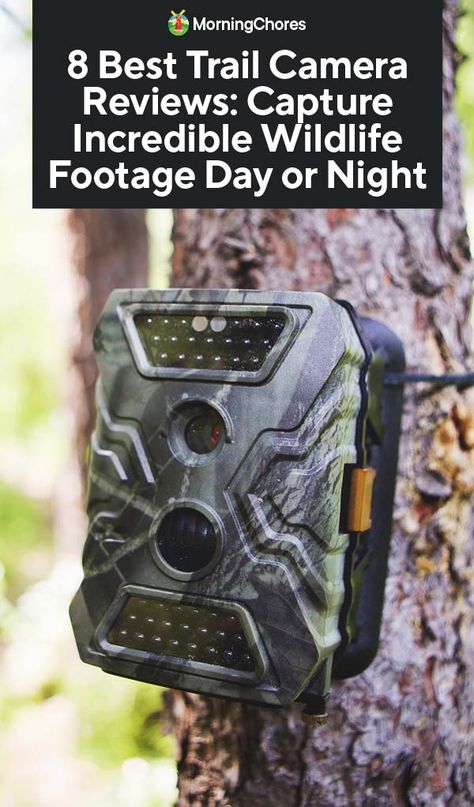 8 Best Trail Camera Reviews: Capture Incredible Wildlife Footage Day or Night Trail Cameras, Big Game Hunting, Trail Camera, Motion Detector, Night Pictures, Hunting Trip, Home Surveillance, Camera Reviews, Surveillance System