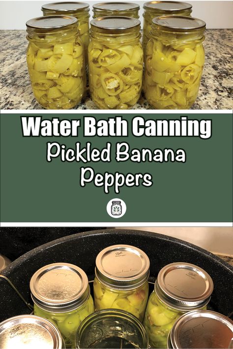 Master the art of water bath canning with this easy-to-follow recipe for pickled banana peppers! Perfect for beginners and seasoned canners alike, our detailed guide covers everything from preparation to sealing jars. Add a burst of flavor to your dishes with these tangy, crisp peppers. Start canning today and enjoy the taste of homemade pickles all year long. Click to learn more! #WaterBathCanning #PickledPeppers #BananaPeppers Ball Canning Banana Peppers, Homemade Pickled Banana Peppers, Canning Recipe For Banana Peppers, Jarred Banana Pepper Recipe, Serrano Pepper Canning Recipes, Pickling Banana Peppers Canning, How To Jar Banana Peppers, Water Bath Banana Peppers, Canned Hot Banana Pepper Recipe