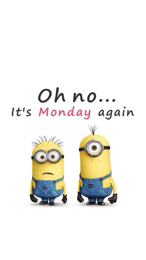 Oh no..... It's Monday again!!!! Minion humor. Its Monday Again, Minion Humor, Good Morning For Him, Monday Sucks, Haha Quotes, Its Monday, Happy Monday Quotes, Monogram Wallpaper, Laughter The Best Medicine