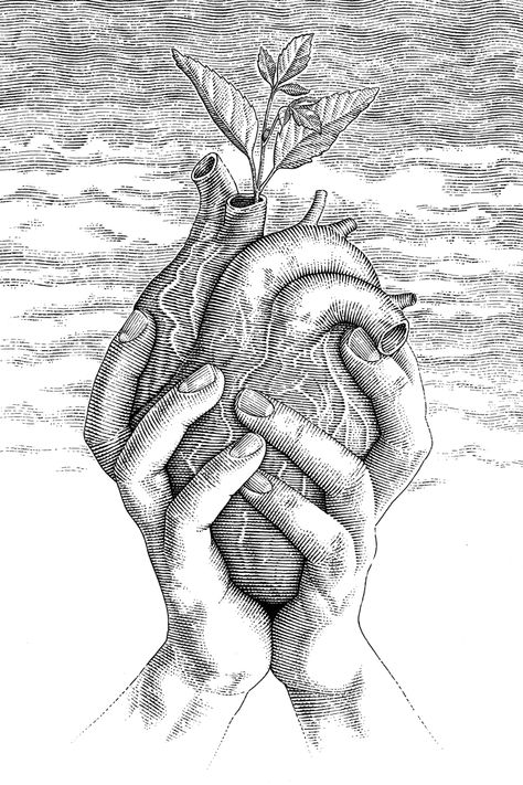 Illustration for Popshot Magazine on Behance Rotten Heart Tattoo, Hope Artwork, Anatomical Heart Art, Figure Sketches, Hope Art, Afrique Art, Heart Illustration, Heart Drawing, Desenho Tattoo