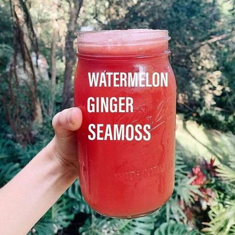 Meelah_Moss_Seamoss on Instagram: "🤤 Follow @meelah_moss for more Like, comment or share if this is what your going to make next to incorporate your sea moss. #thursday #detox #energy #thursdayvibes #healthtips #health #instagood #healthylifestyle #juice #relaxation #cleaneating #healthinspiration #healthinfluencer #vegan #vegitarian #holistic #teablend #wellnesstips #caffeine#spillthetea #eczema #houston #calm #throwbackthursday #trending #explorepage #fyp #fypage #seamoss #drsebi" Sea Moss Juice Recipes, Sea Moss Recipes, Juice Smoothies Recipes, Healthy Water Drinks, Sea Moss Gel, Refreshing Drinks Recipes, Ginger Juice, Ginger Recipes, Great Health