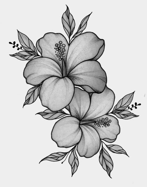 Flower Outline Tattoo, Hibiscus Flower Drawing, Hawaiian Flower Tattoos, Tattoo Designs Drawings, Hibiscus Flower Tattoos, Hibiscus Tattoo, Pencil Drawings Of Flowers, Flower Tattoo Drawings, Flower Outline