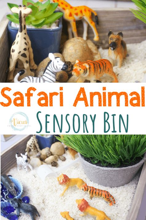 This safari animal sensory bin combines white rice and stones for a fun and engaging sensory base for animals. Kids can scoop and practice fine-motor skills.    Sensory bins are excellent for early learning, and Safari Preschool, Animal Sensory Bin, Cat Education, Preschool Jungle, Safari Crafts, Shots Snap, Safari Photos, Safari Activities, Habitats Projects