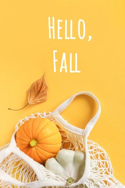 Autumn Composition, Pumpkin Photography, Pattypan Squash, Harvest Vegetables, Humble Design, Fall Shoot, Welcome Autumn, October Art, Skincare Products Photography