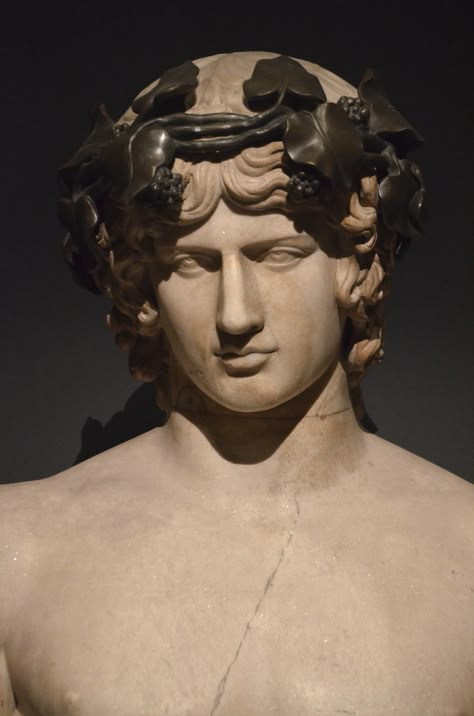 Marble bust of Antinous, on loan from the Hermitage Museum… | Flickr Greek Bust, The Hermitage Museum, Roman Sculptures, Emperor Hadrian, Egyptian Deity, Ancient Greek Sculpture, Marble Bust, The Nile River, Roman Statue